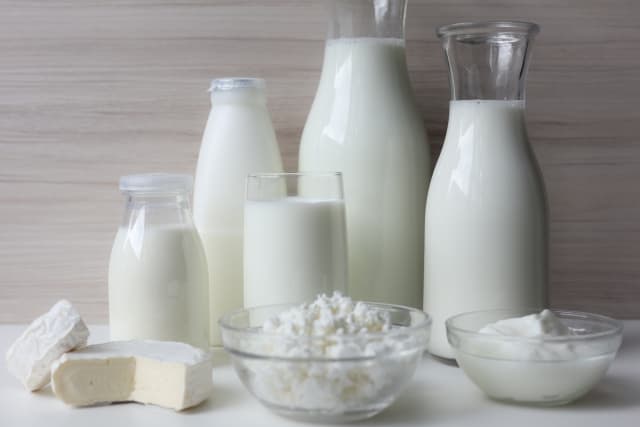 乳製品の種類による違い
